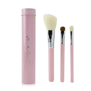 Sigma Beauty Essential Trio Brush Set - # Pink  3pcs 1 Tin
